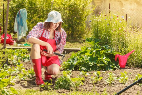 A woman kneeling in a garden, clearly engaged in planting or tending to young plants in a well-maintained outdoor space that features a mixture of cultivated flower beds and vegetable plots. She is wearing a sun hat, a red apron, and red rubber boots, with her focus directed at the soil as she uses a small gardening trowel. The garden layout includes neat, defined beds with various small plants, surrounded by rich soil, and bordered by lush green foliage and flowering plants, some of which bloom in shades of purple and pink, adding colour to the scene. In the background, there are garden elements such as a wooden fence, a clothesline with a towel hanging to dry, and a pink watering can resting on the ground close by, indicating ongoing outdoor gardening activities. The environment appears bright and warm under natural sunlight, with a mix of leafy trees and shrubs providing shade and privacy, suggesting a pleasant suburban garden typical of the Catford area in London, which benefits from professional gardening services like those provided by Lawn Mowing Catford to maintain its vibrant and healthy appearance.