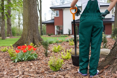 Field technicians performing lawn maintenance in Catford