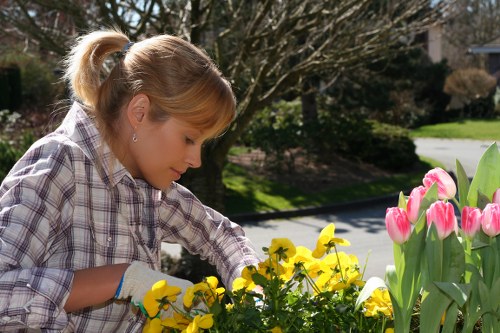 A young woman with blonde hair tied in a ponytail is tending to a garden in a suburban outdoor space, which features a well-maintained lawn and a variety of flowering plants including pink tulips and yellow pansies. She is wearing a plaid shirt and gardening gloves, carefully working among the vibrant blooms, with the backdrop of leafless trees and a paved pathway. The garden combines flower beds with soil borders and patches of lush, green grass, situated in a residential area likely within Catford, London, as indicated by the page focus on lawn mowing services in the area. The scene is illuminated by natural daylight, suggesting a clear, mild weather day, emphasizing the outdoor maintenance aspect of gardening services provided by Lawn Mowing Catford, contributing to a tidy and attractive garden environment.